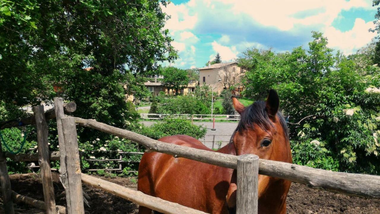 San Filippo Villa Акуапенденте Екстериор снимка